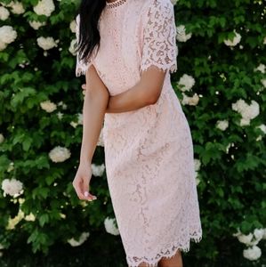 Rachel Parcell pink dress